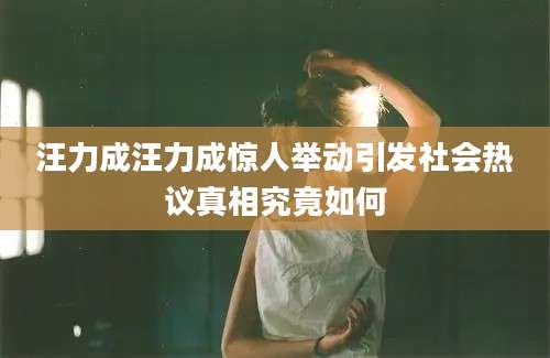 汪力成汪力成惊人举动引发社会热议真相究竟如何