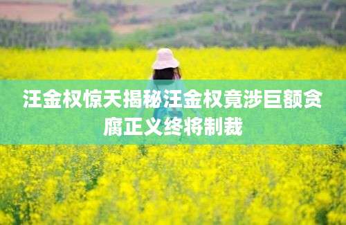 汪金权惊天揭秘汪金权竟涉巨额贪腐正义终将制裁