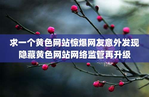 求一个黄色网站惊爆网友意外发现隐藏黄色网站网络监管再升级