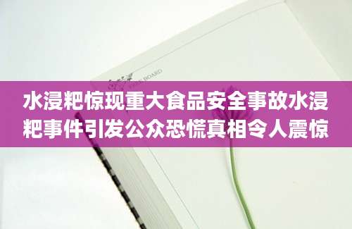 水浸粑惊现重大食品安全事故水浸粑事件引发公众恐慌真相令人震惊