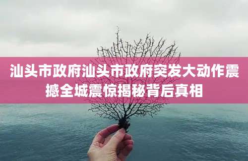 汕头市政府汕头市政府突发大动作震撼全城震惊揭秘背后真相
