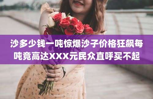 沙多少钱一吨惊爆沙子价格狂飙每吨竟高达XXX元民众直呼买不起