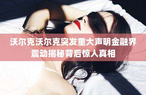沃尔克沃尔克突发重大声明金融界震动揭秘背后惊人真相