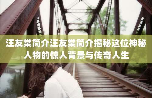 汪友棠简介汪友棠简介揭秘这位神秘人物的惊人背景与传奇人生