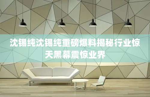 沈锡纯沈锡纯重磅爆料揭秘行业惊天黑幕震惊业界