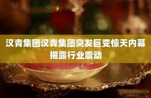 汉青集团汉青集团突发巨变惊天内幕揭露行业震动