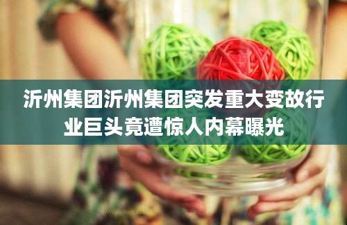 沂州集团沂州集团突发重大变故行业巨头竟遭惊人内幕曝光