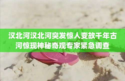 汉北河汉北河突发惊人变故千年古河惊现神秘奇观专家紧急调查