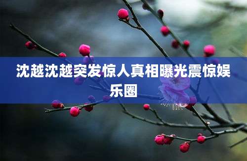 沈越沈越突发惊人真相曝光震惊娱乐圈