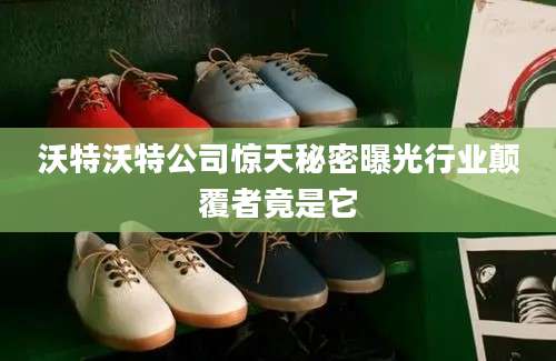 沃特沃特公司惊天秘密曝光行业颠覆者竟是它
