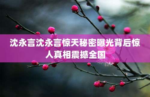 沈永言沈永言惊天秘密曝光背后惊人真相震撼全国