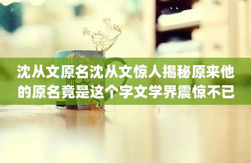沈从文原名沈从文惊人揭秘原来他的原名竟是这个字文学界震惊不已