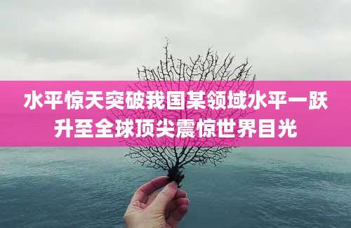 水平惊天突破我国某领域水平一跃升至全球顶尖震惊世界目光