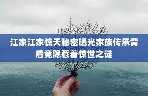 江家江家惊天秘密曝光家族传承背后竟隐藏着惊世之谜