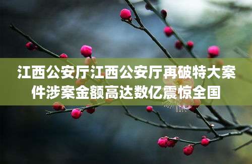 江西公安厅江西公安厅再破特大案件涉案金额高达数亿震惊全国