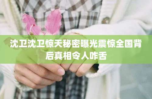 沈卫沈卫惊天秘密曝光震惊全国背后真相令人咋舌