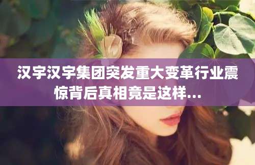 汉宇汉宇集团突发重大变革行业震惊背后真相竟是这样...
