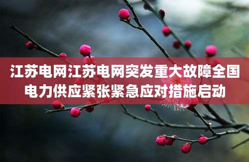 江苏电网江苏电网突发重大故障全国电力供应紧张紧急应对措施启动