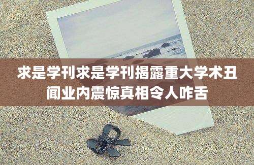 求是学刊求是学刊揭露重大学术丑闻业内震惊真相令人咋舌