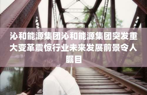 沁和能源集团沁和能源集团突发重大变革震惊行业未来发展前景令人瞩目