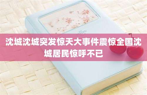 沈城沈城突发惊天大事件震惊全国沈城居民惊呼不已