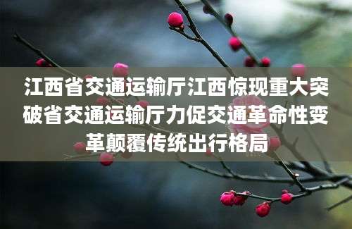 江西省交通运输厅江西惊现重大突破省交通运输厅力促交通革命性变革颠覆传统出行格局