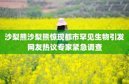 沙梨熊沙梨熊惊现都市罕见生物引发网友热议专家紧急调查