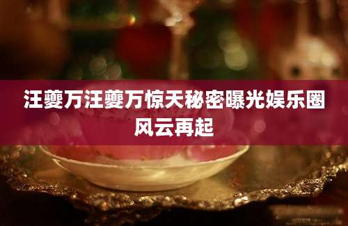 汪夔万汪夔万惊天秘密曝光娱乐圈风云再起