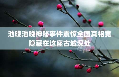 池晚池晚神秘事件震惊全国真相竟隐藏在这座古城深处