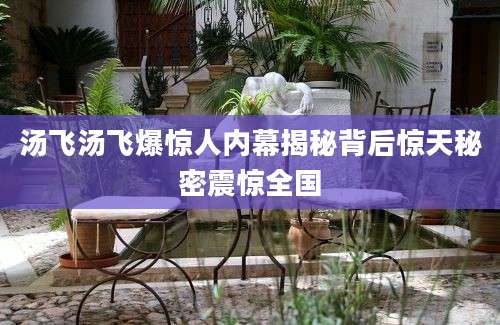 汤飞汤飞爆惊人内幕揭秘背后惊天秘密震惊全国
