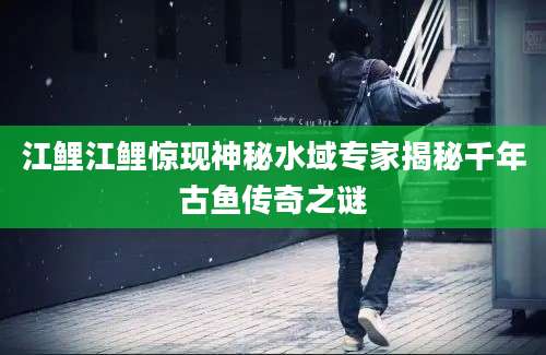江鲤江鲤惊现神秘水域专家揭秘千年古鱼传奇之谜