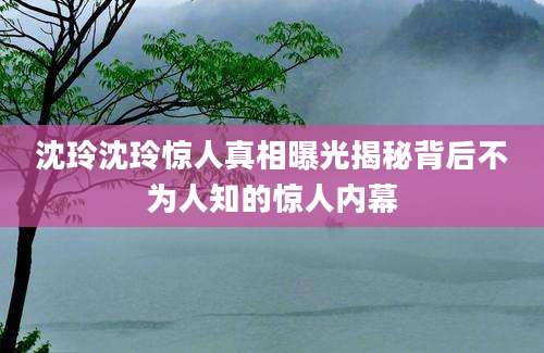 沈玲沈玲惊人真相曝光揭秘背后不为人知的惊人内幕