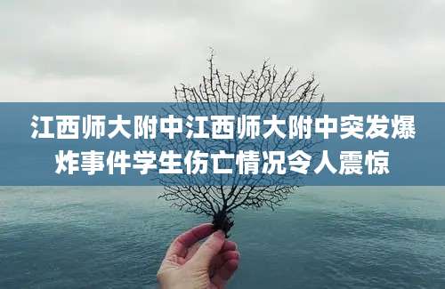 江西师大附中江西师大附中突发爆炸事件学生伤亡情况令人震惊