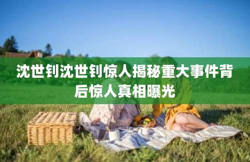 沈世钊沈世钊惊人揭秘重大事件背后惊人真相曝光