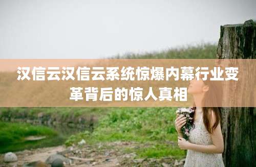 汉信云汉信云系统惊爆内幕行业变革背后的惊人真相