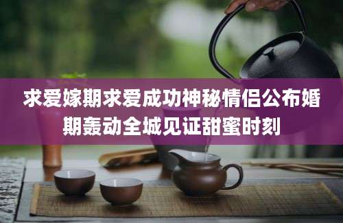 求爱嫁期求爱成功神秘情侣公布婚期轰动全城见证甜蜜时刻