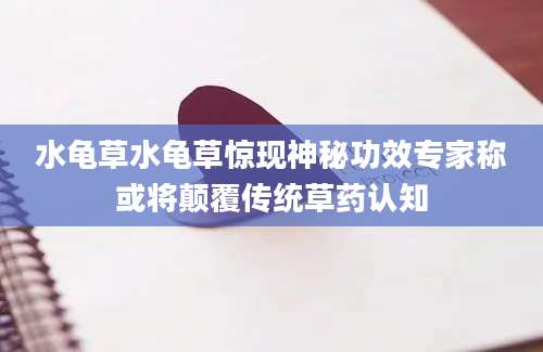 水龟草水龟草惊现神秘功效专家称或将颠覆传统草药认知