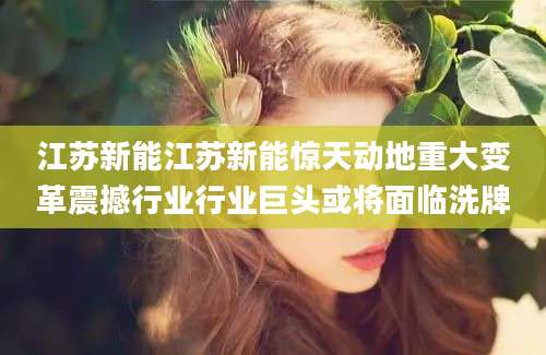 江苏新能江苏新能惊天动地重大变革震撼行业行业巨头或将面临洗牌