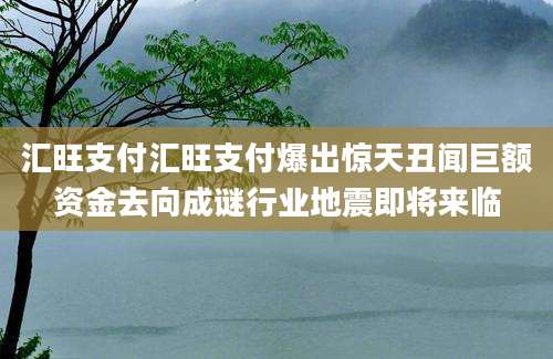 汇旺支付汇旺支付爆出惊天丑闻巨额资金去向成谜行业地震即将来临