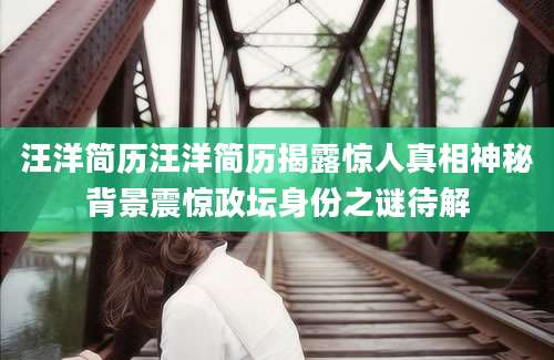 汪洋简历汪洋简历揭露惊人真相神秘背景震惊政坛身份之谜待解