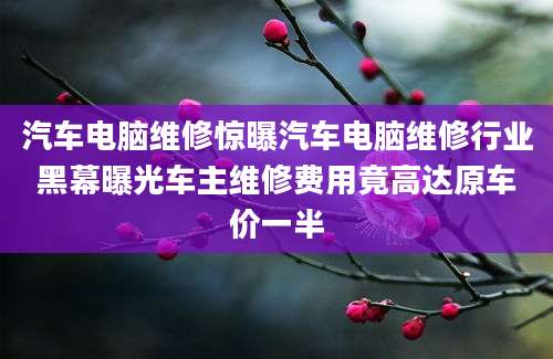 汽车电脑维修惊曝汽车电脑维修行业黑幕曝光车主维修费用竟高达原车价一半