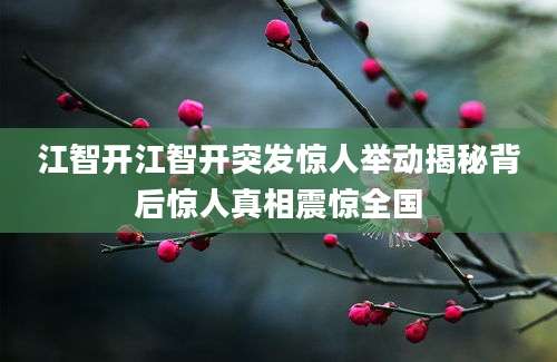 江智开江智开突发惊人举动揭秘背后惊人真相震惊全国
