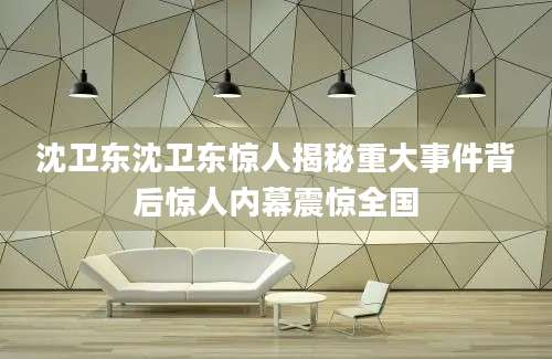 沈卫东沈卫东惊人揭秘重大事件背后惊人内幕震惊全国