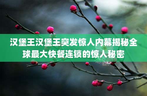 汉堡王汉堡王突发惊人内幕揭秘全球最大快餐连锁的惊人秘密