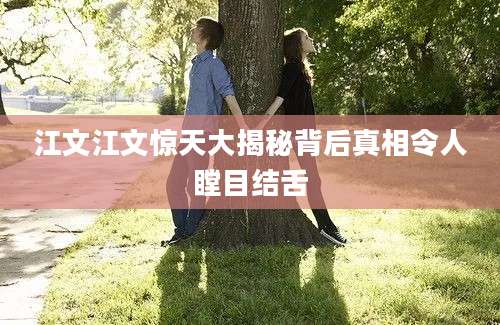 江文江文惊天大揭秘背后真相令人瞠目结舌