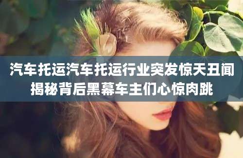 汽车托运汽车托运行业突发惊天丑闻揭秘背后黑幕车主们心惊肉跳