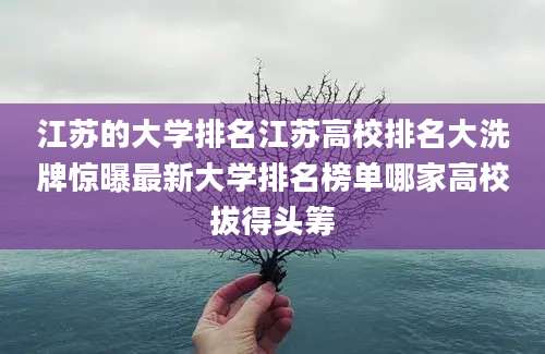 江苏的大学排名江苏高校排名大洗牌惊曝最新大学排名榜单哪家高校拔得头筹