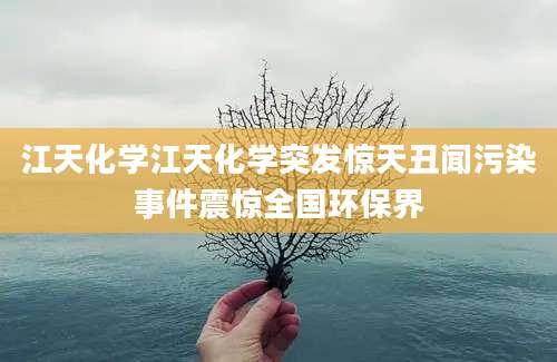 江天化学江天化学突发惊天丑闻污染事件震惊全国环保界