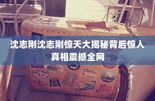 沈志刚沈志刚惊天大揭秘背后惊人真相震撼全网