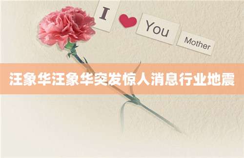 汪象华汪象华突发惊人消息行业地震